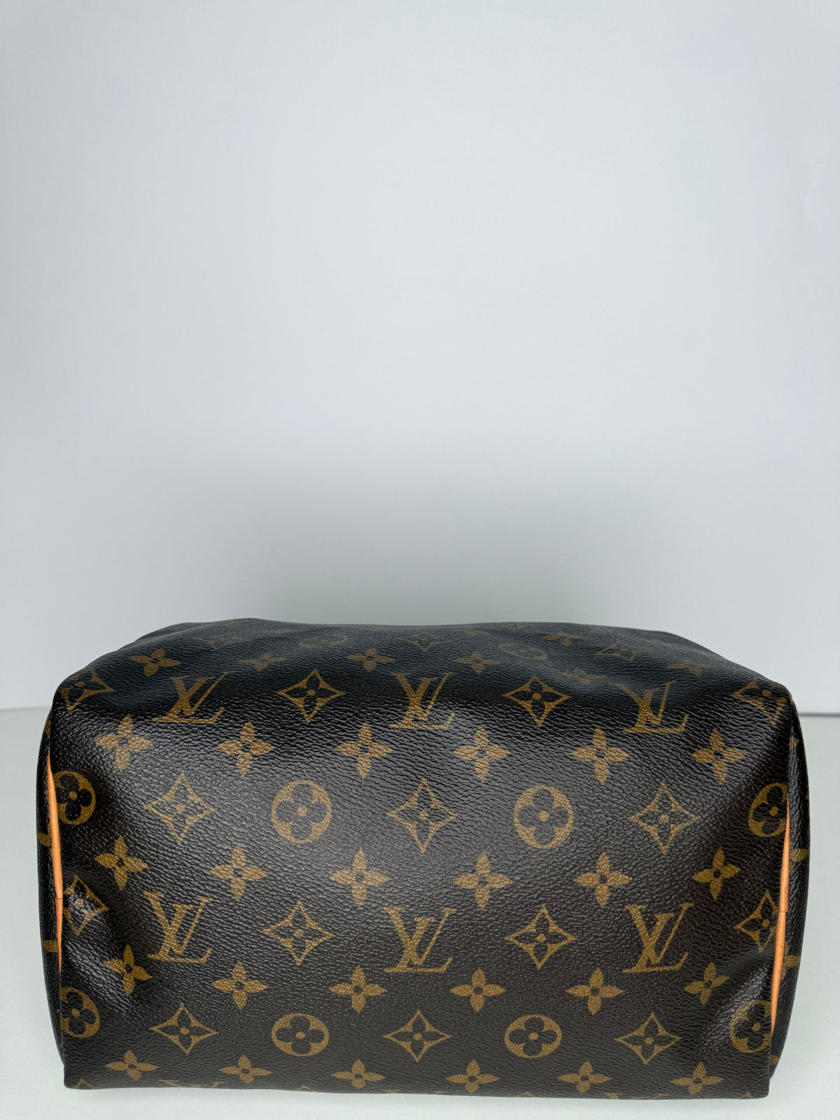 Louis Vuitton Speedy 25 Monogram Canvas