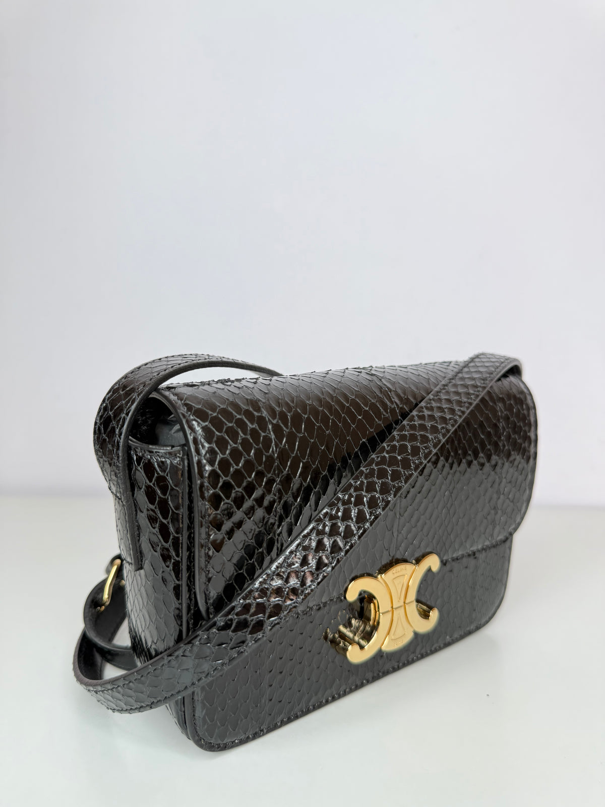 Celine Teen Triomphe Bag In Black Python Leather