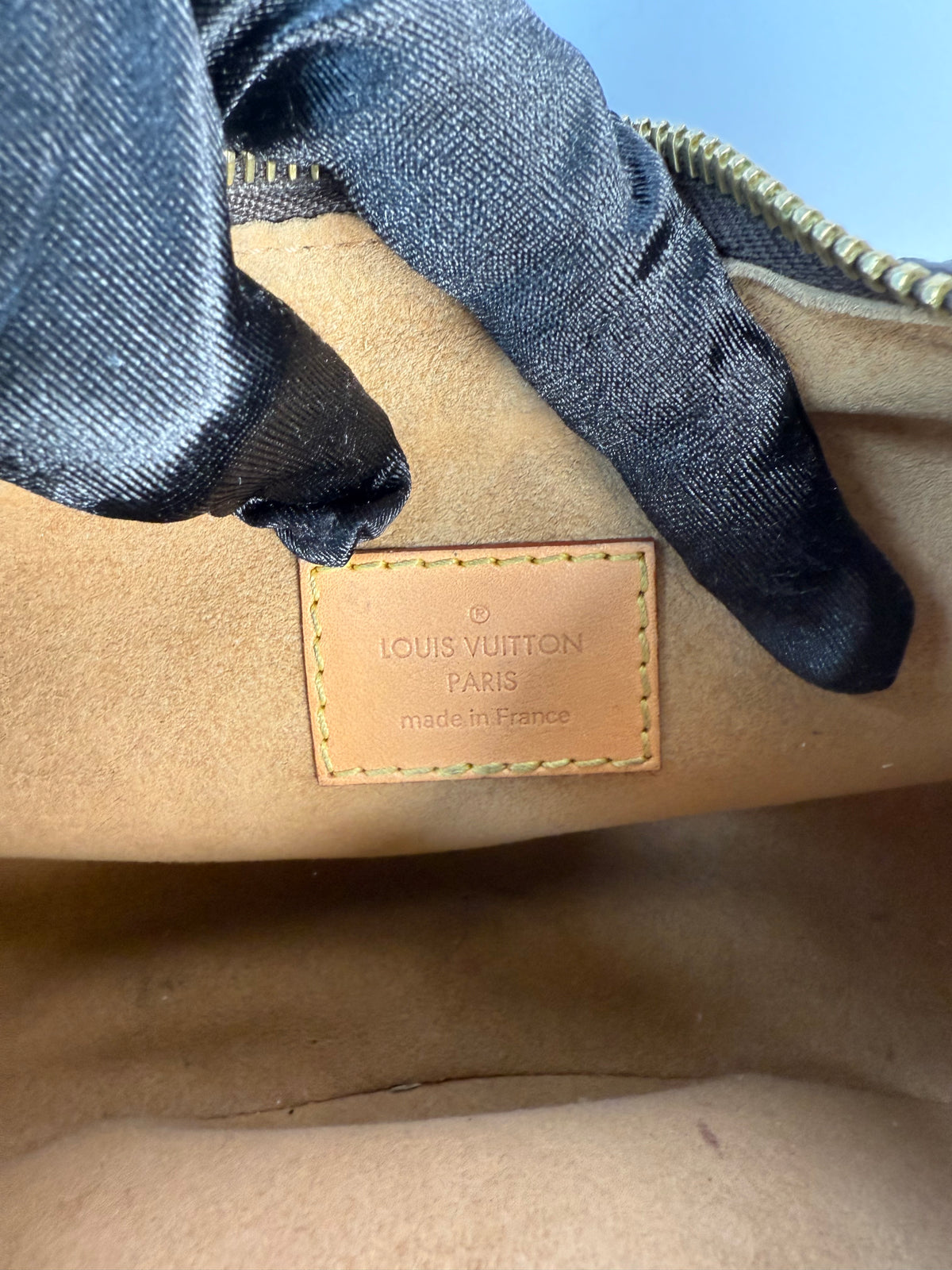 Louis Vuitton Loop Monogram Canvas Bag