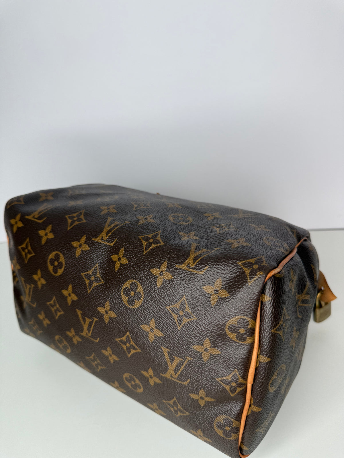 Louis Vuitton Speedy 25 Monogram Canvas