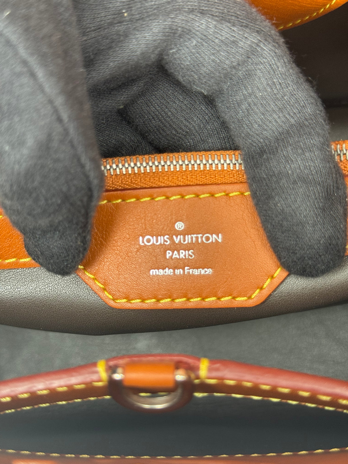 Louis Vuitton Toile and Leather Capucines Mateo MM Bag