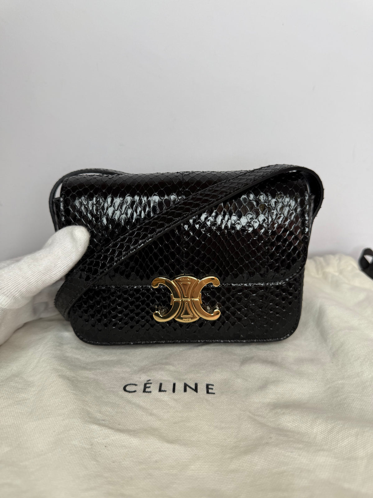 Celine Teen Triomphe Bag In Black Python Leather