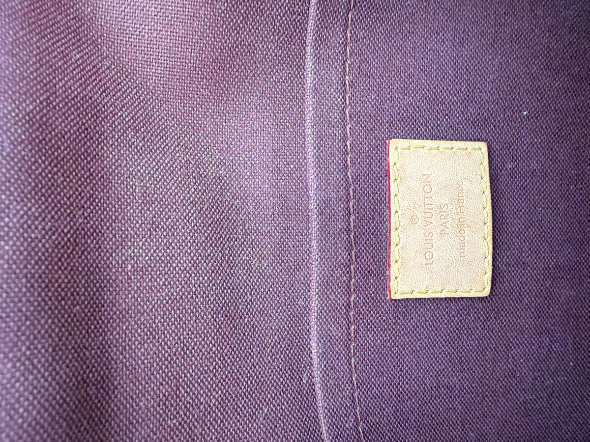 Louis Vuitton Favorite PM Monogram Canvas Pochette