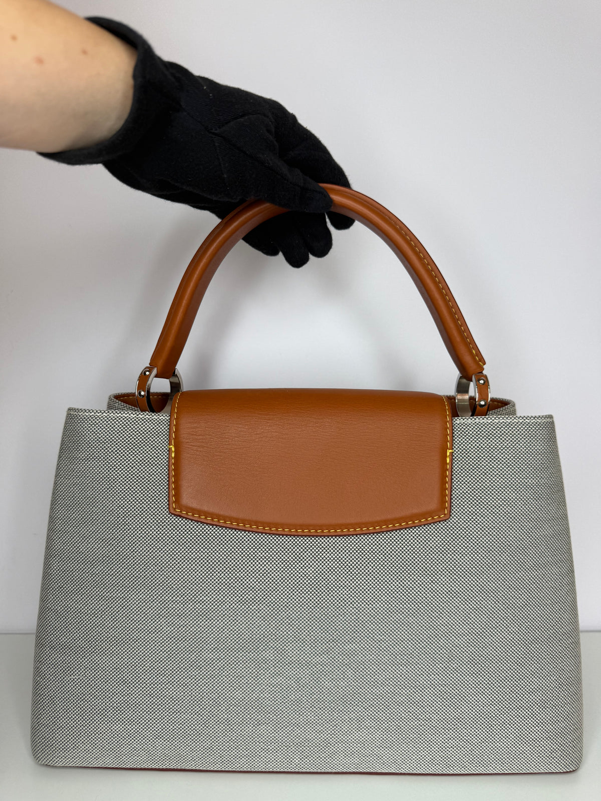 Louis Vuitton Toile and Leather Capucines Mateo MM Bag
