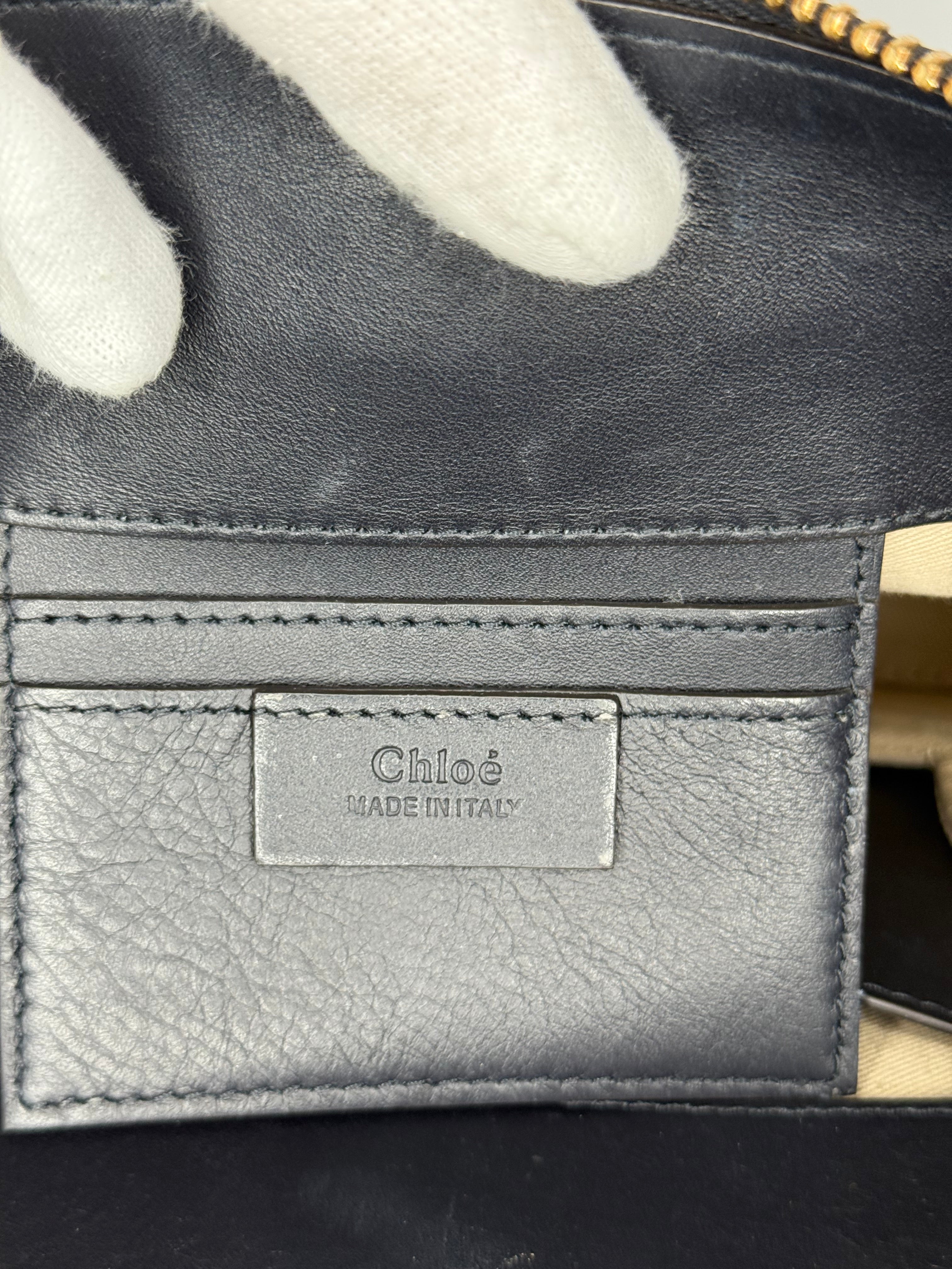 Chloé Limited Edition Roy Ponyhair Leopard Print Bag