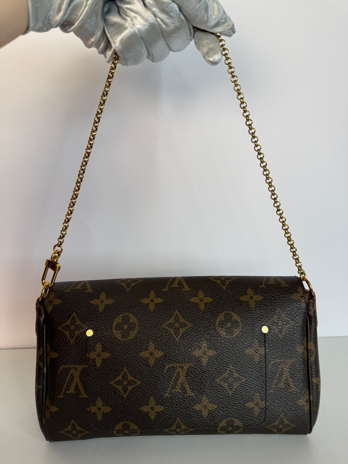 Louis Vuitton Favorite PM Monogram Canvas Pochette
