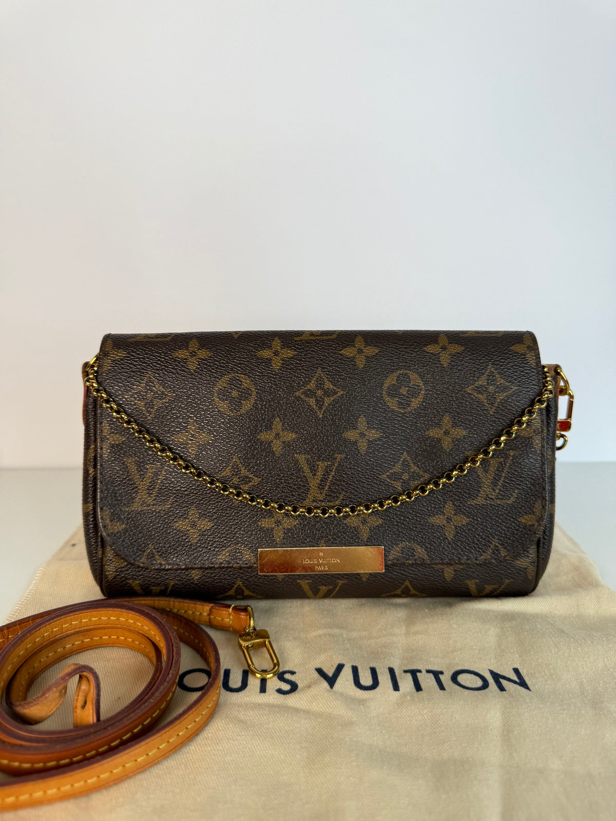 Louis Vuitton Favorite PM Monogram Canvas Pochette