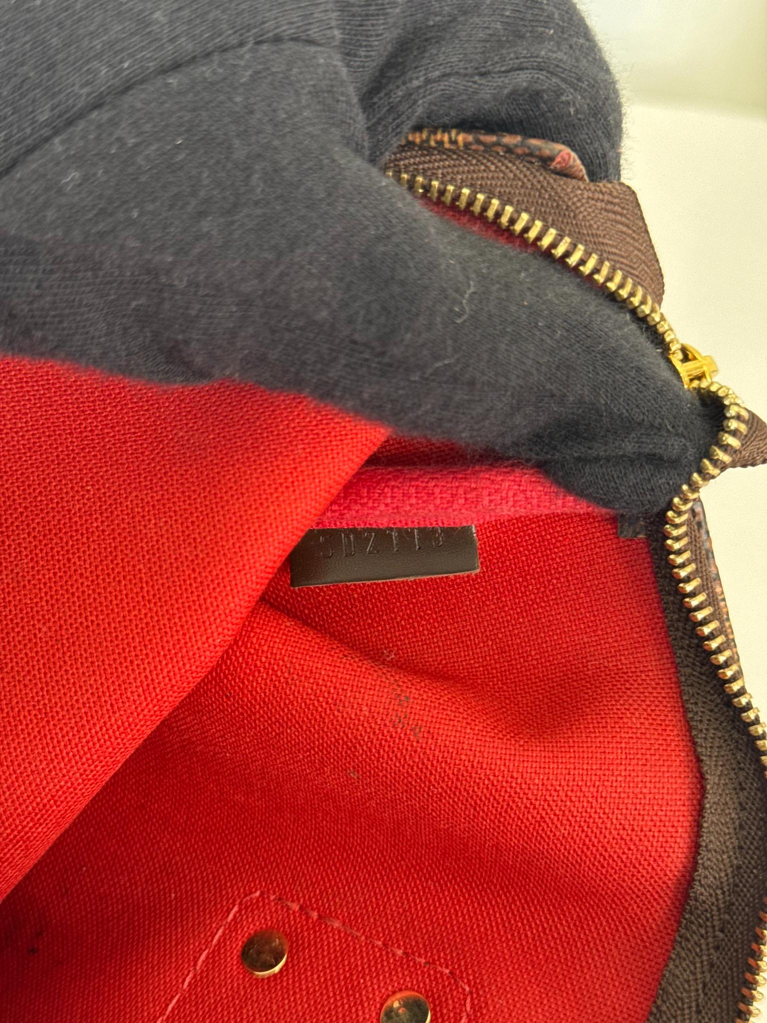 Louis Vuitton Damier Ebene Canvas Eva Pochette