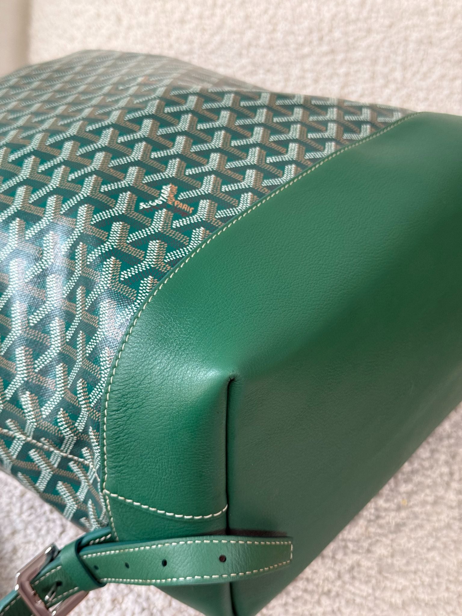 Goyard Cisalpin Green Goyardine Canvas Backpack