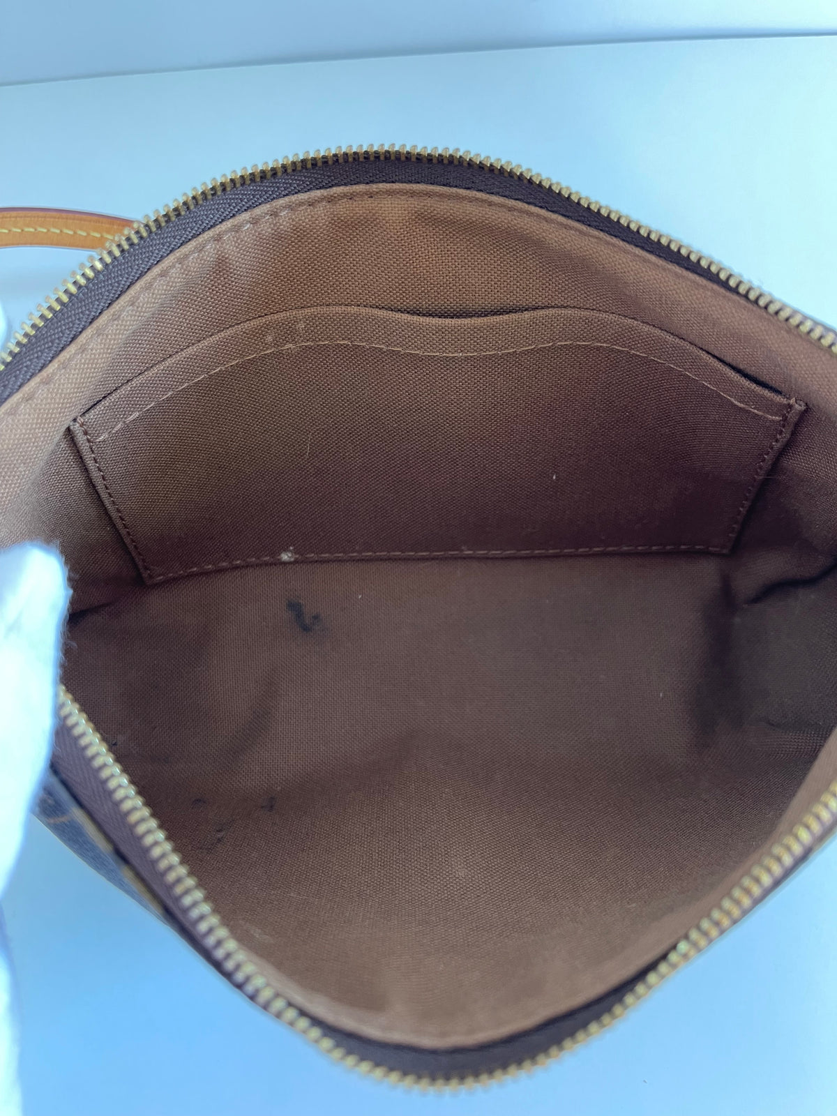 Louis Vuitton Pochette Accessoires Monogram Canvas