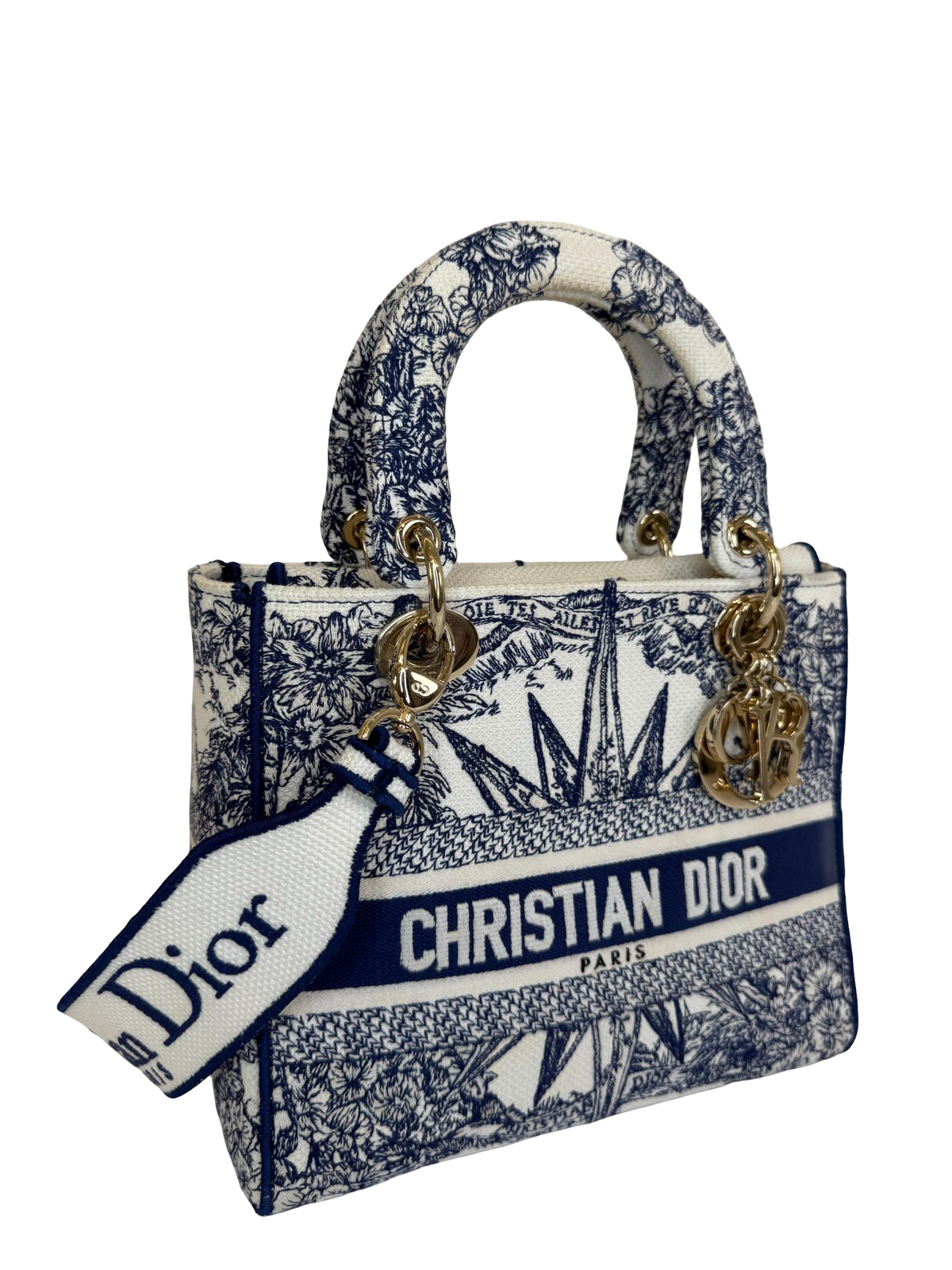 Christian Dior Medium Lady D-Lite Blue Rêve d'Infini Reverse Embroidered