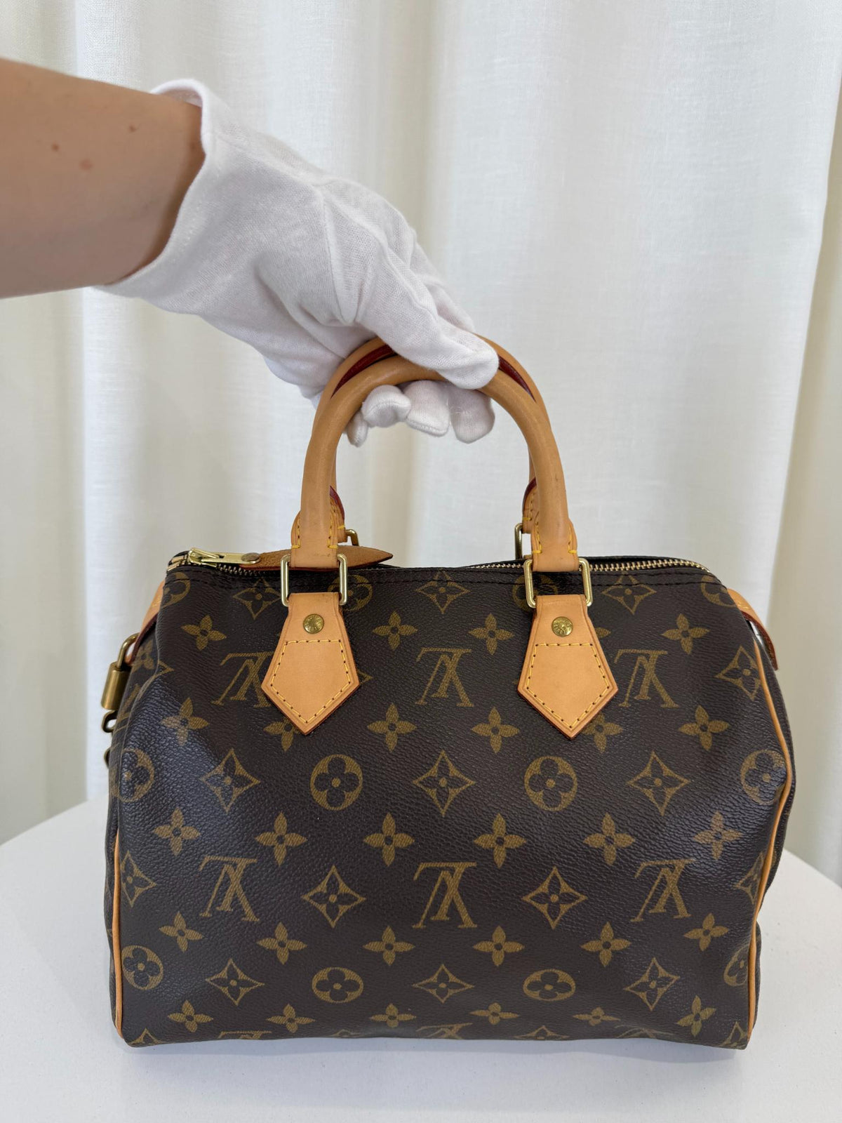 Louis Vuitton Speedy 25 Monogram Canvas