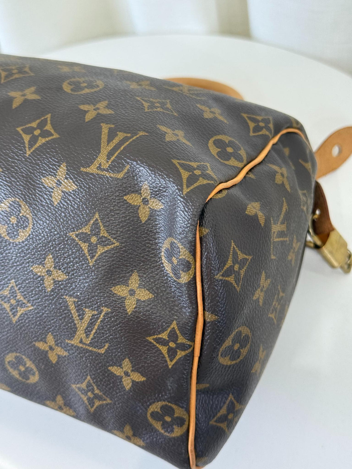 Louis Vuitton Speedy 25 Monogram Canvas