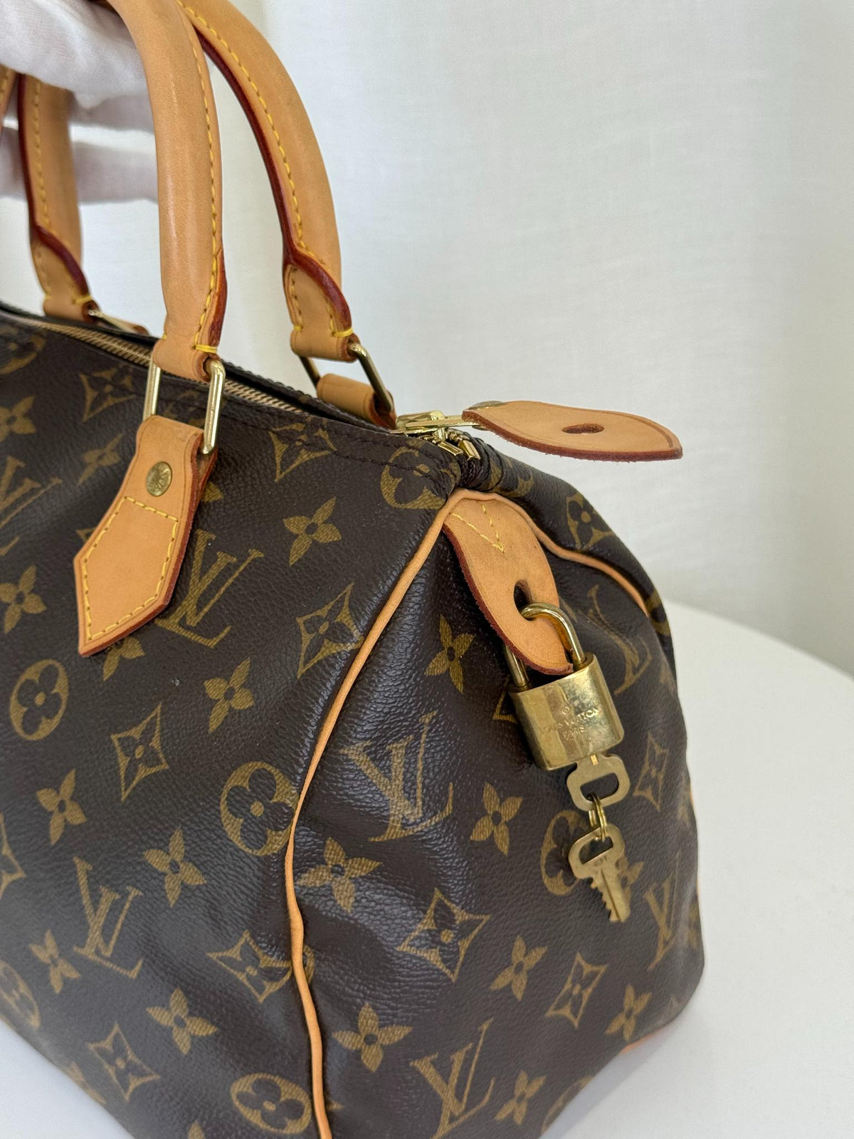 Louis Vuitton Speedy 25 Monogram Canvas