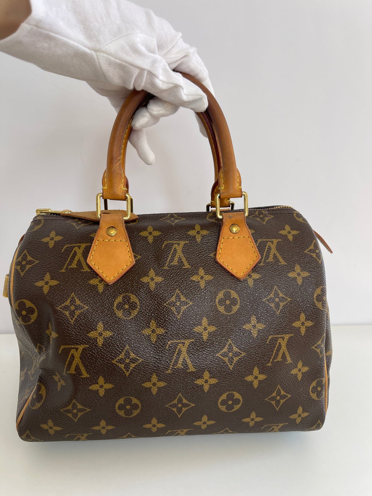 Louis Vuitton Speedy 25 Monogram Canvas Bag