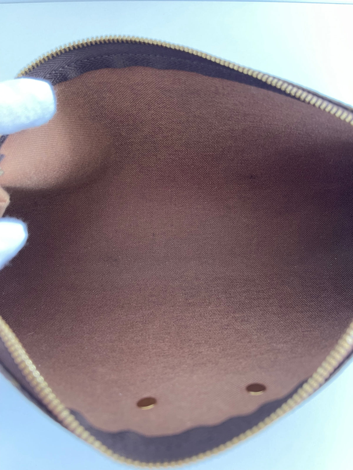 Louis Vuitton Pochette Eva Monogram Canvas