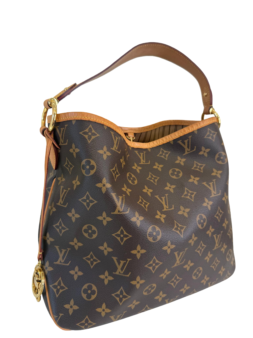 Louis Vuitton Delightful PM Monogram Canvas