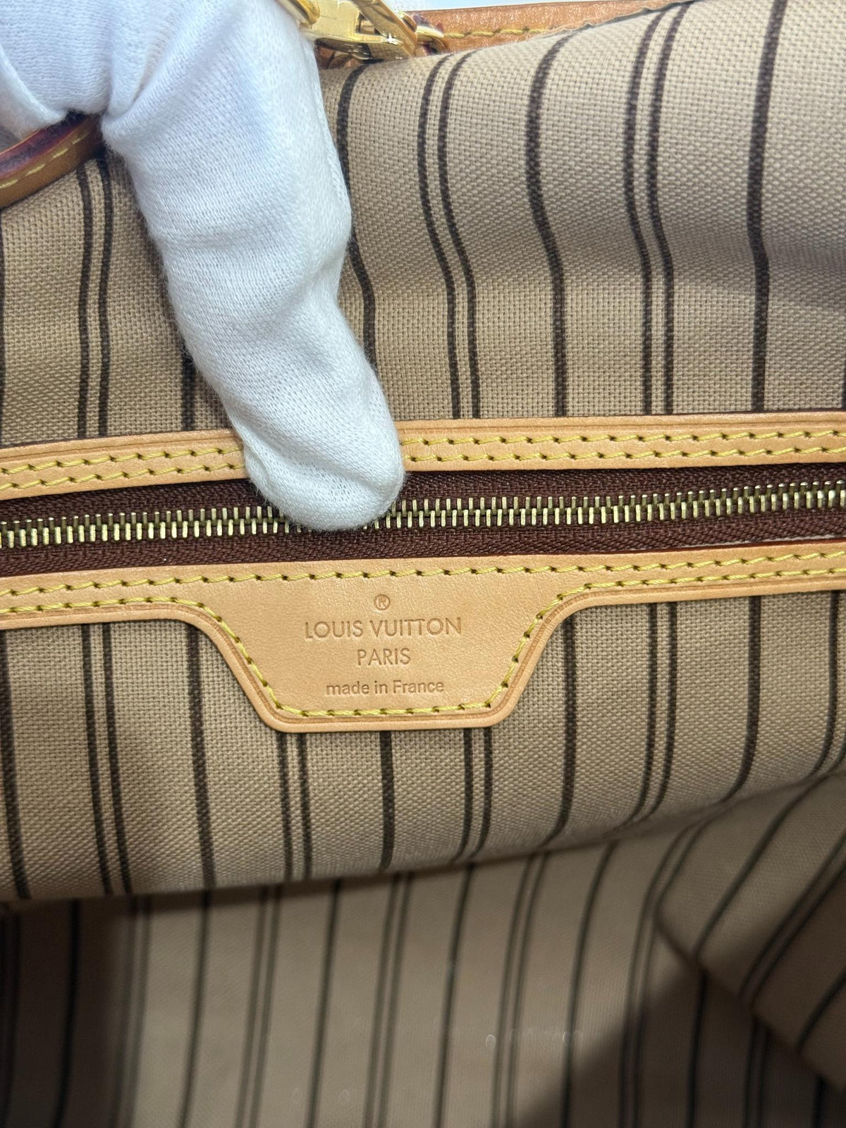 Louis Vuitton Delightful PM Monogram Canvas