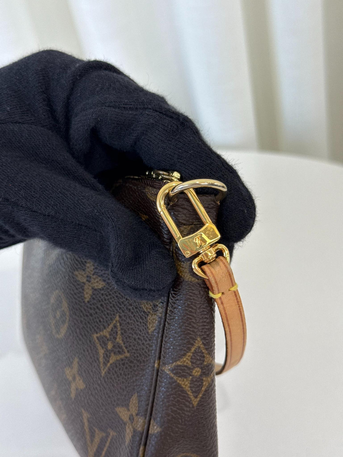 Louis Vuitton Pochette Accessoires Monogram Canvas