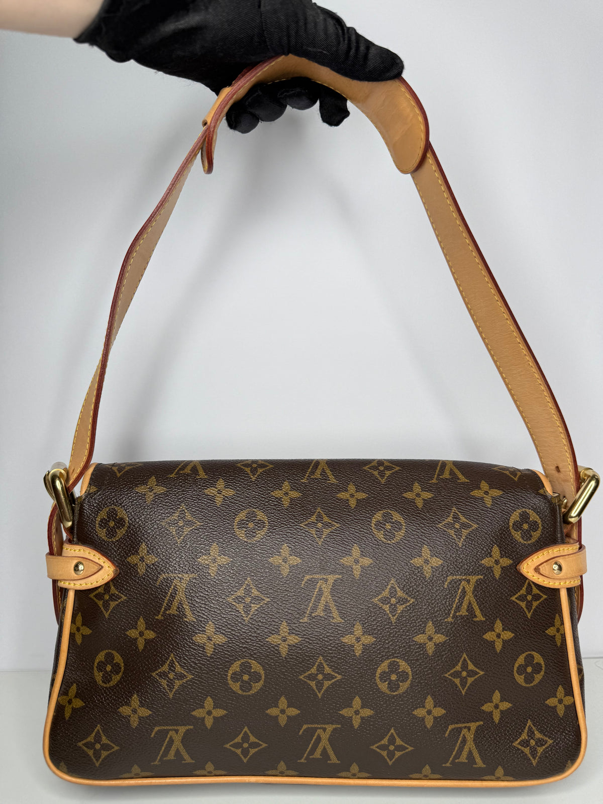 Louis Vuitton Hudson PM Monogram Canvas