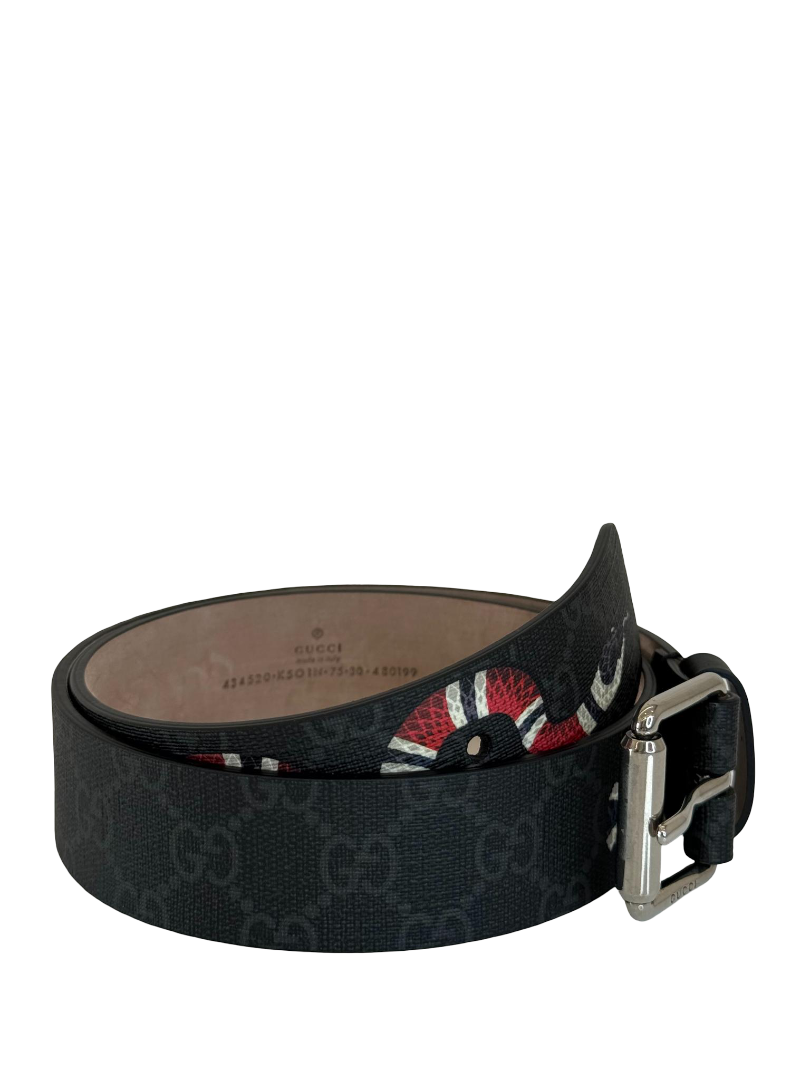 Gucci Black/Red Kingsnake Print Belt
