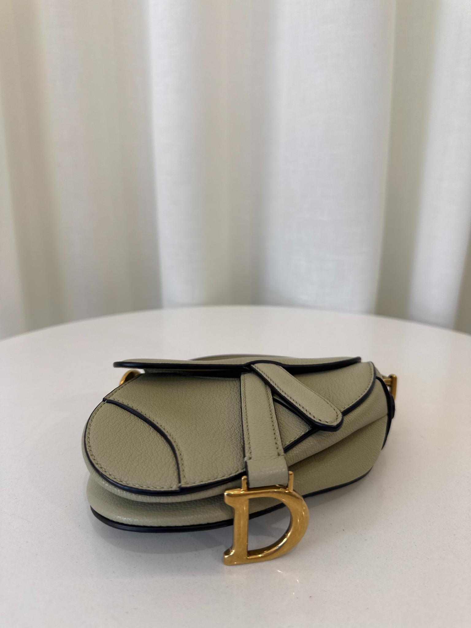 Christian Dior Grained Calfskin Micro Saddle Sage Green