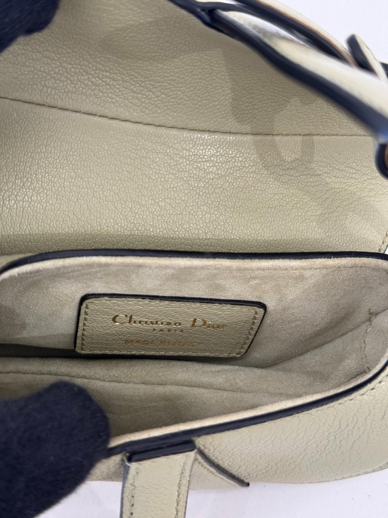 Christian Dior Grained Calfskin Micro Saddle Sage Green