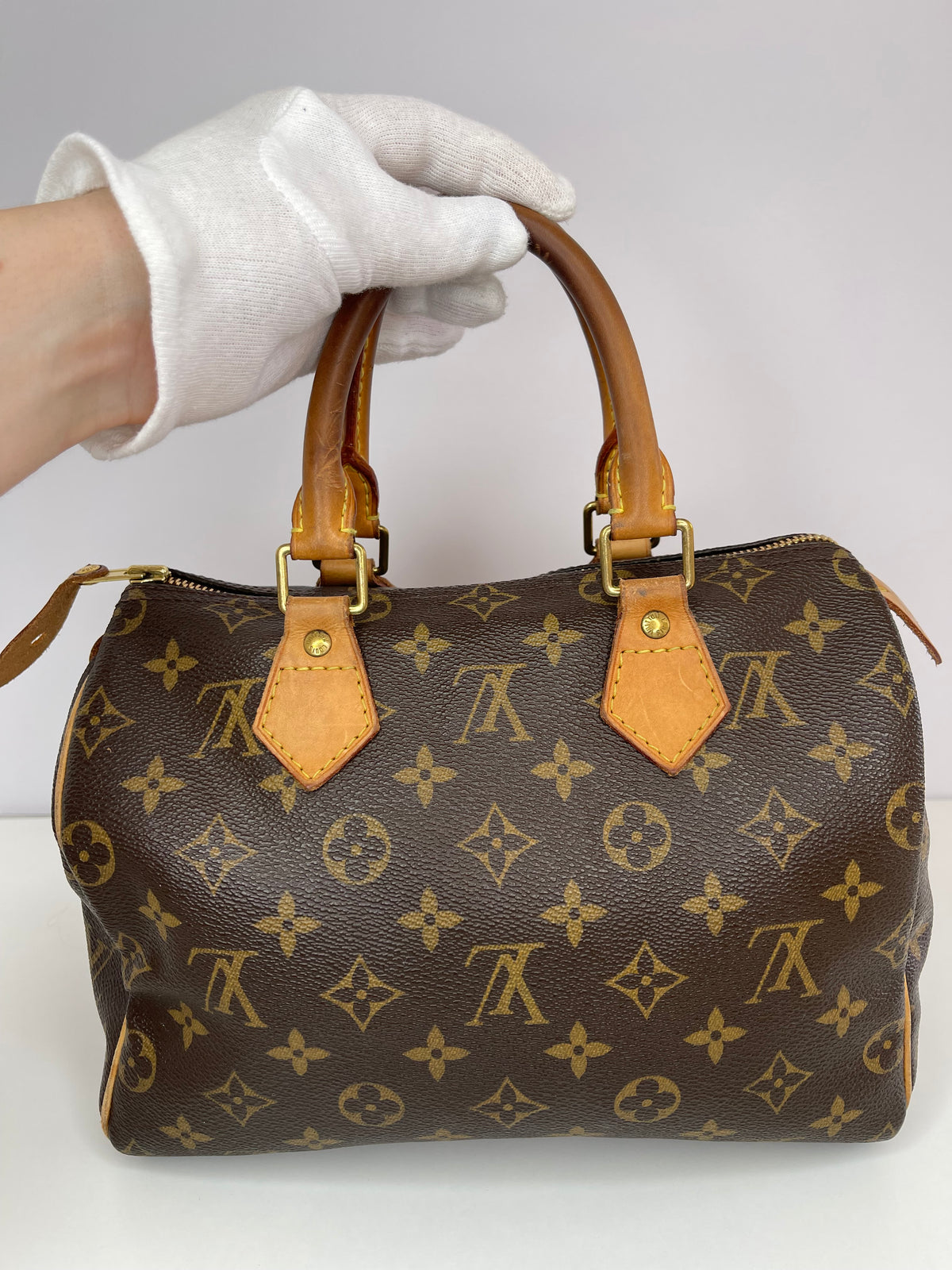 Louis Vuitton Speedy 25 Monogram Canvas