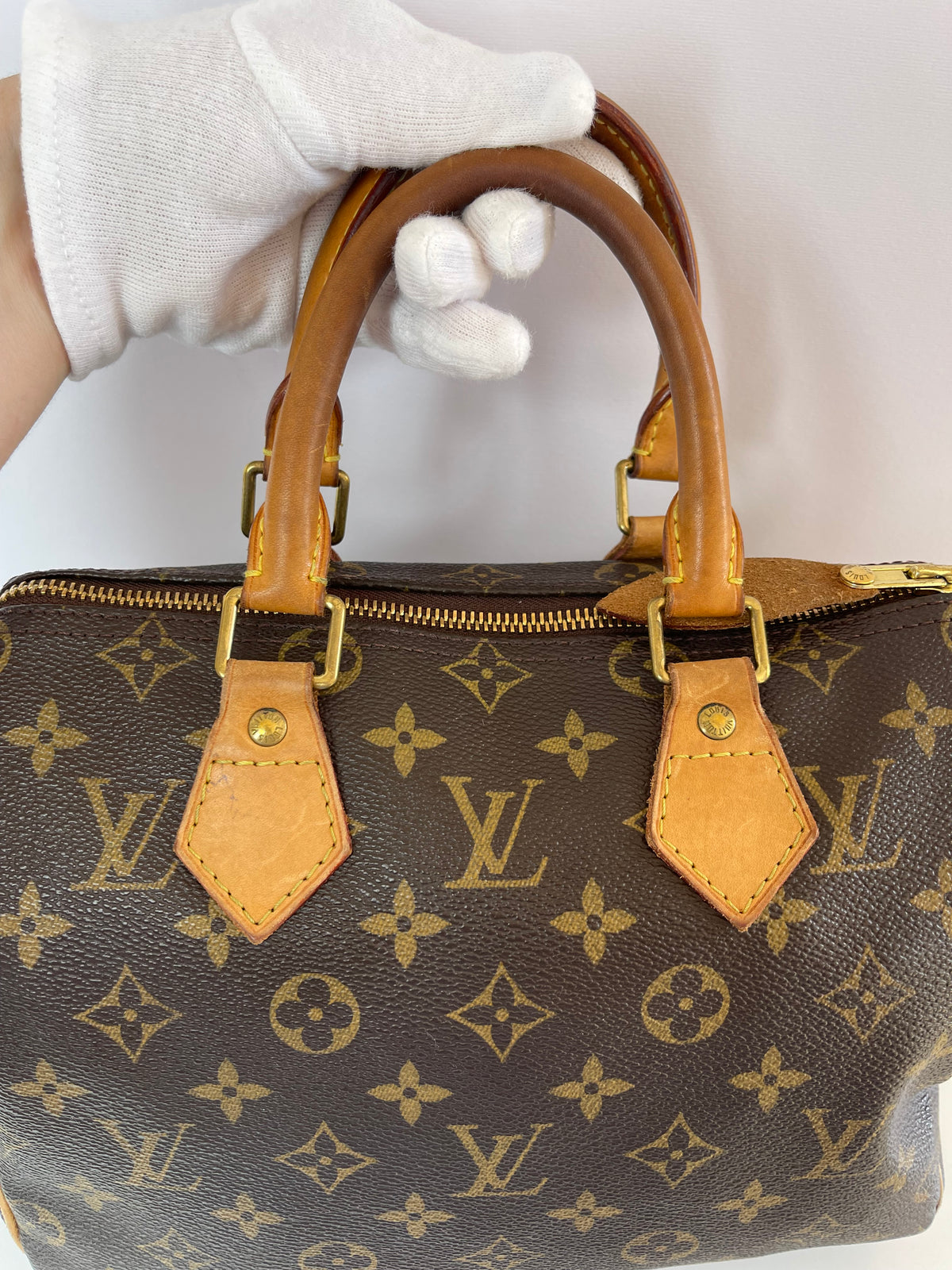 Louis Vuitton Speedy 25 Monogram Canvas