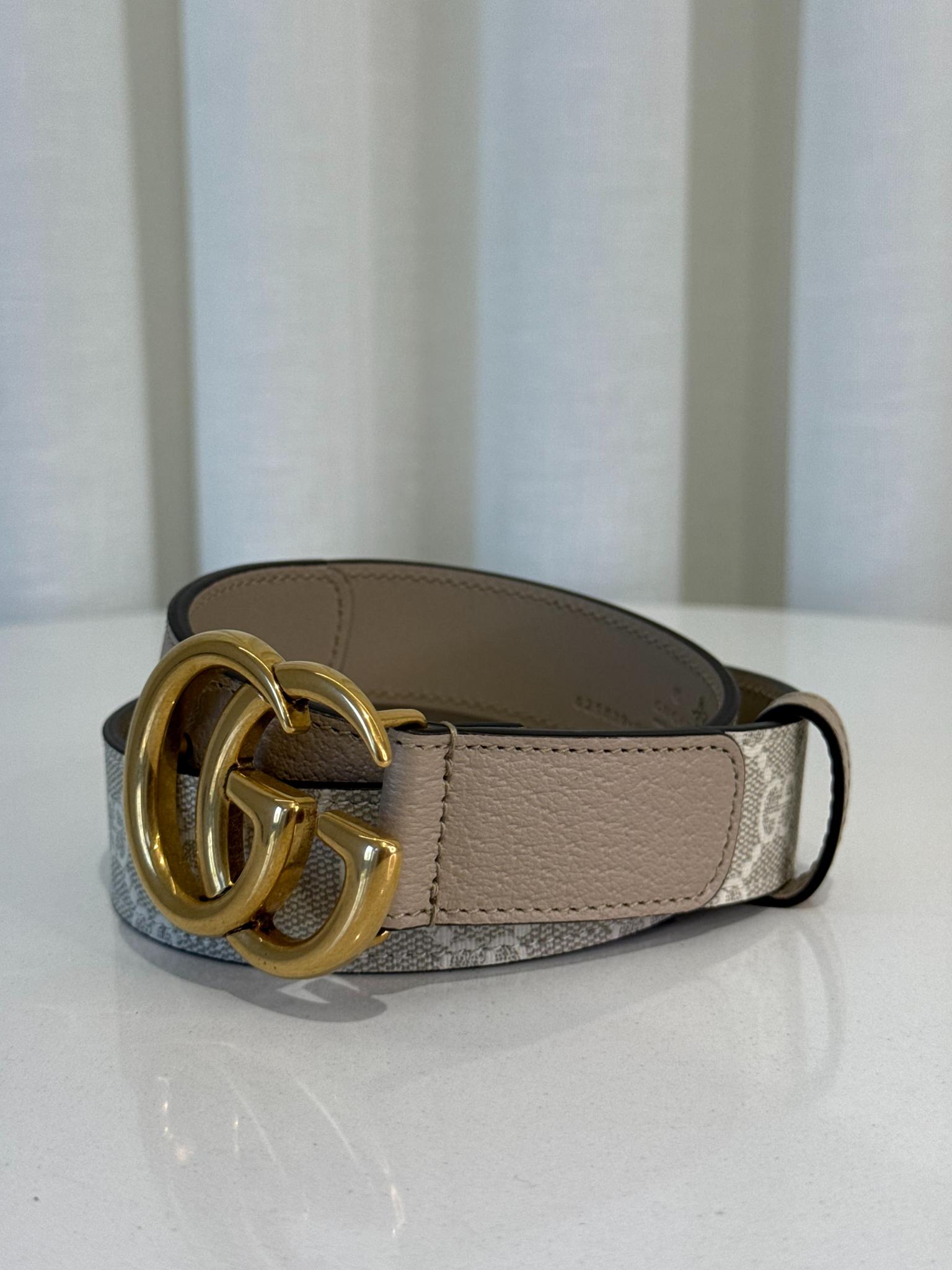Gucci GG Marmont Beige/White Supreme Coated Canvas Belt