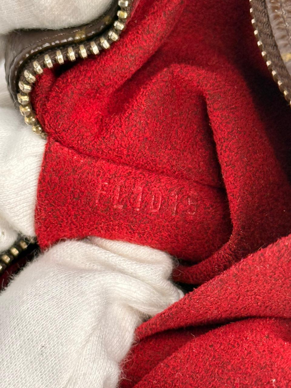 Louis Vuitton Wapity Case Monogram Canvas