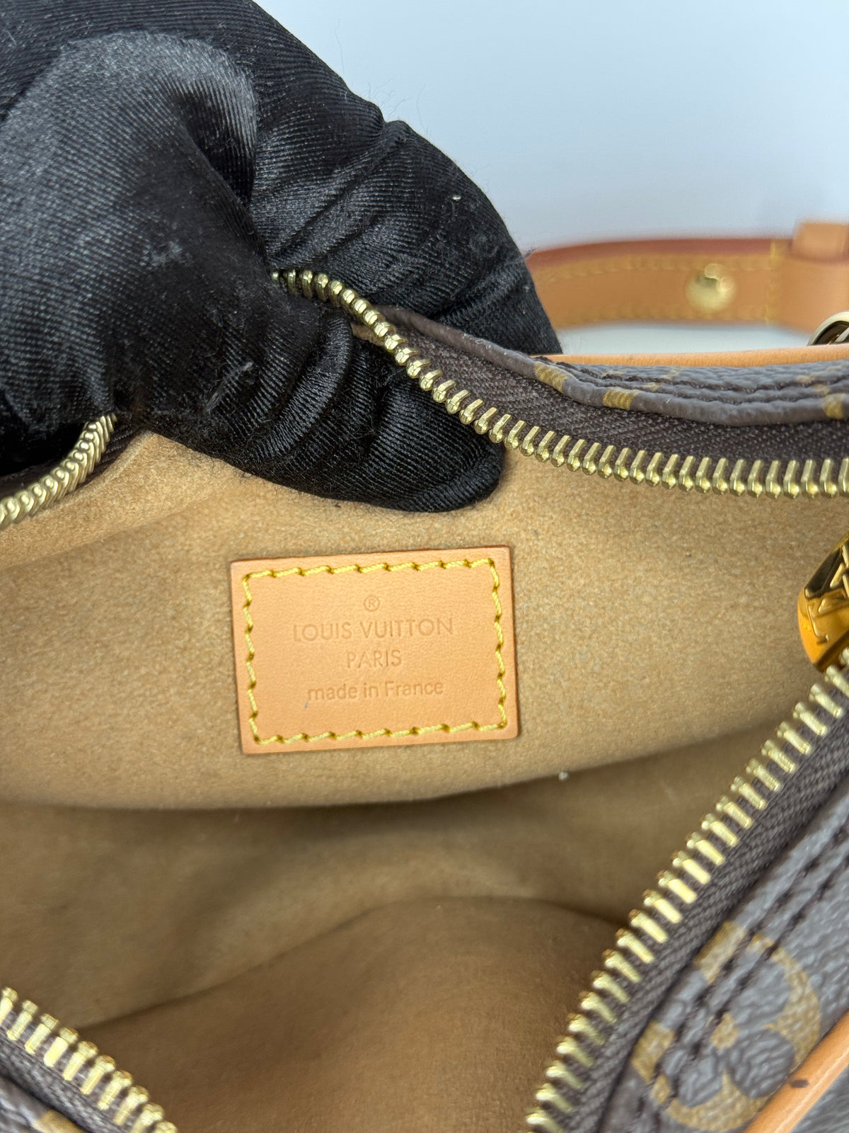 Louis Vuitton Loop Monogram Canvas Bag