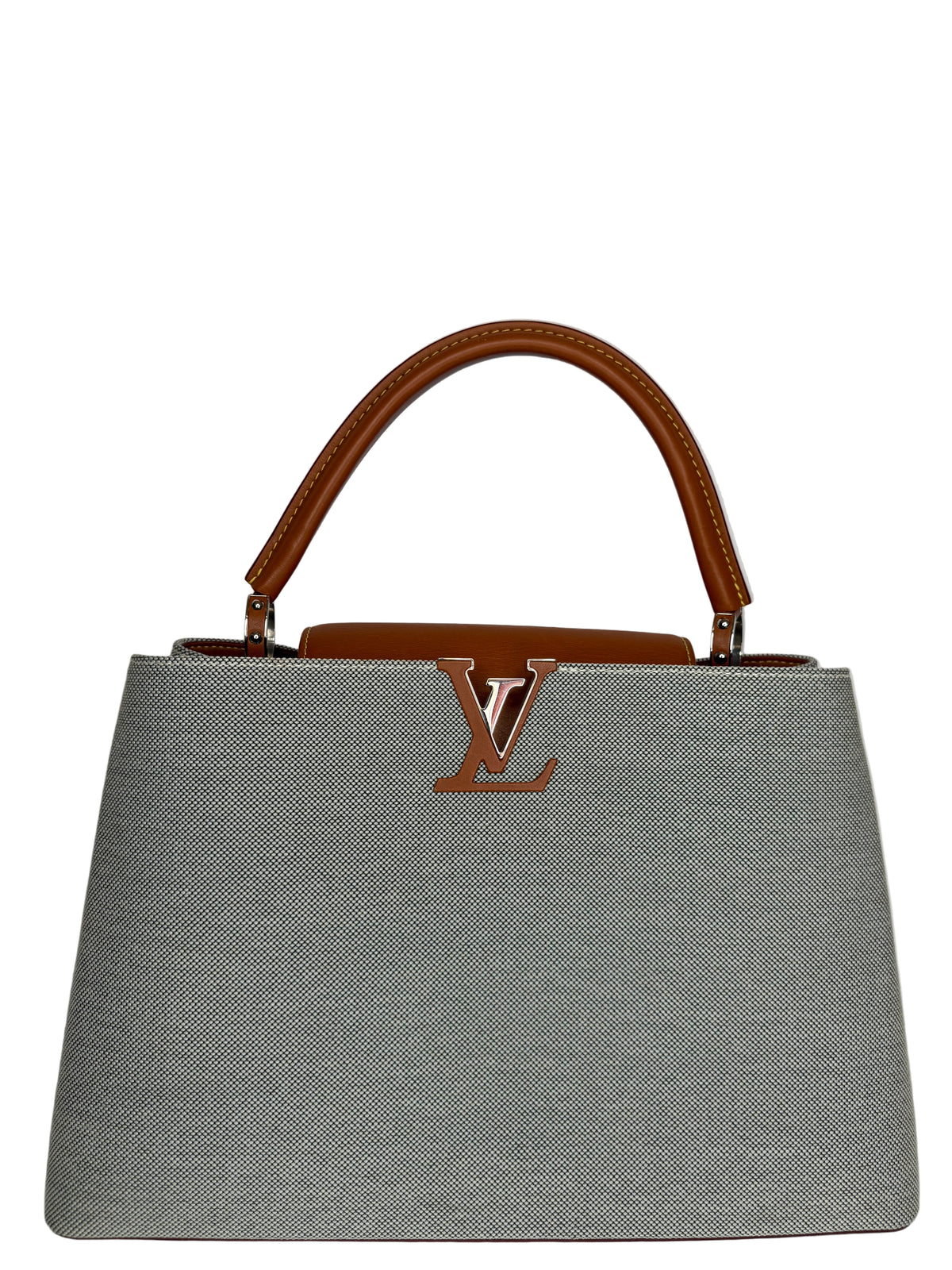 Louis Vuitton Toile and Leather Capucines Mateo MM Bag