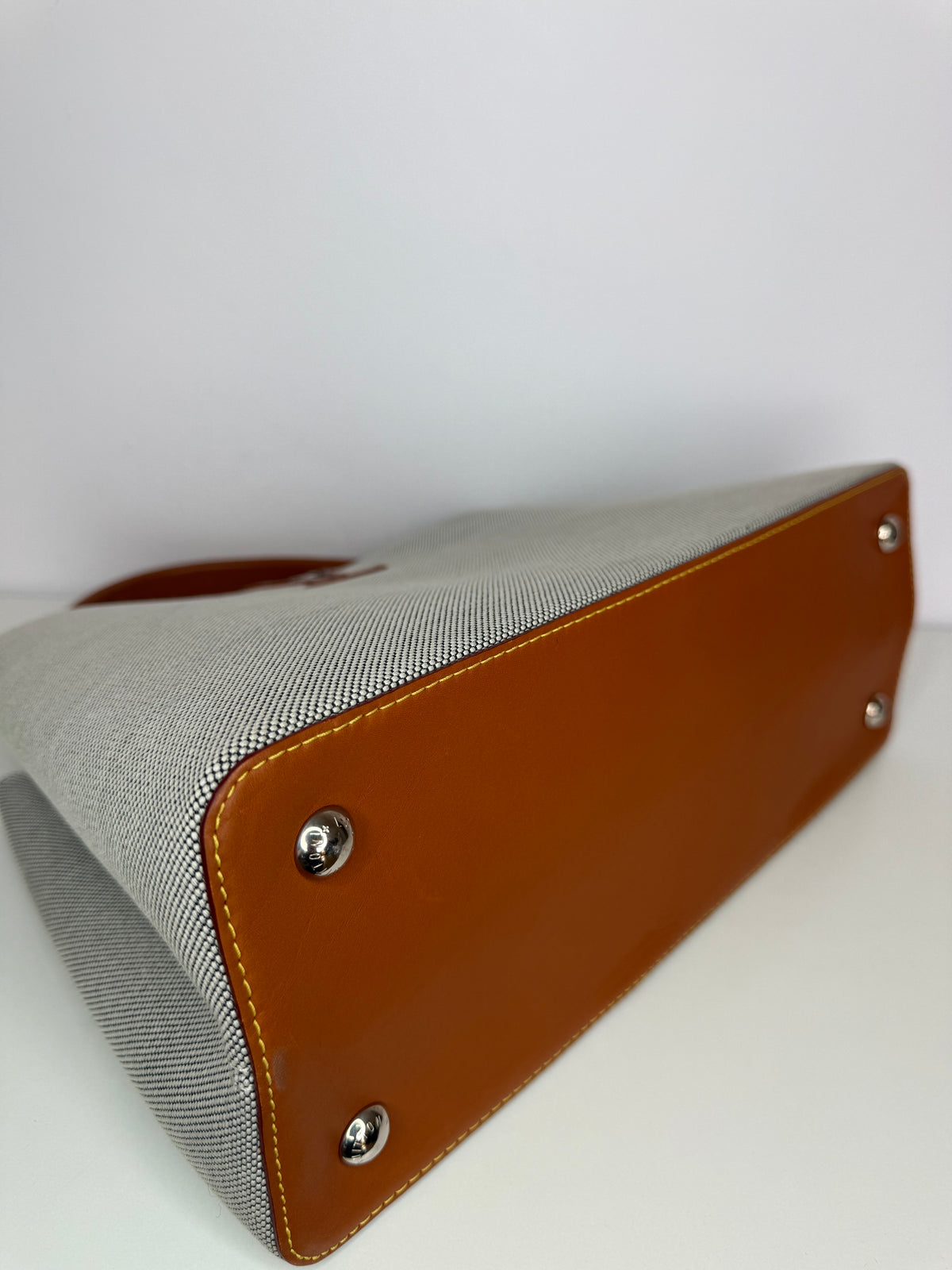 Louis Vuitton Toile and Leather Capucines Mateo MM Bag