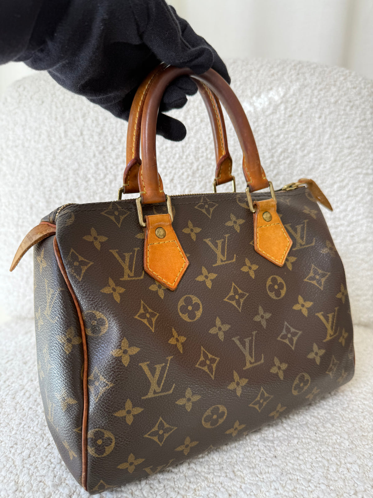 Louis Vuitton Speedy 25 Monogram Canvas