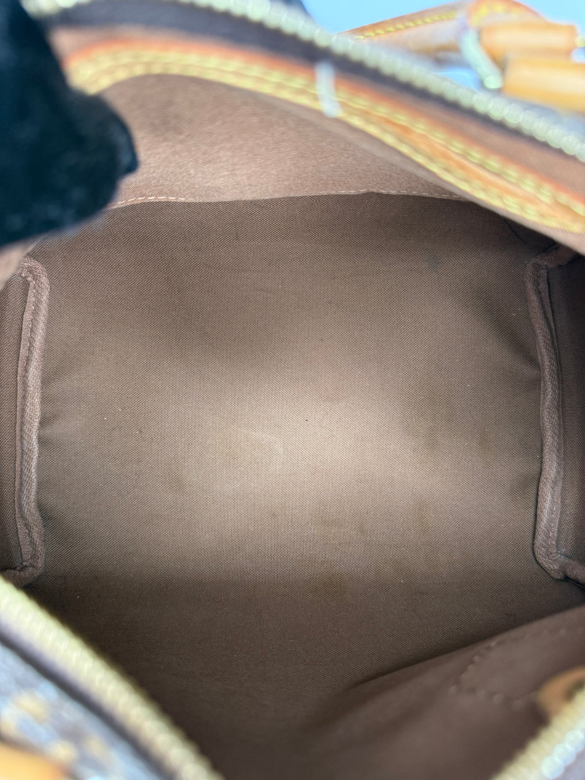 Louis Vuitton Speedy 25 Monogram Canvas