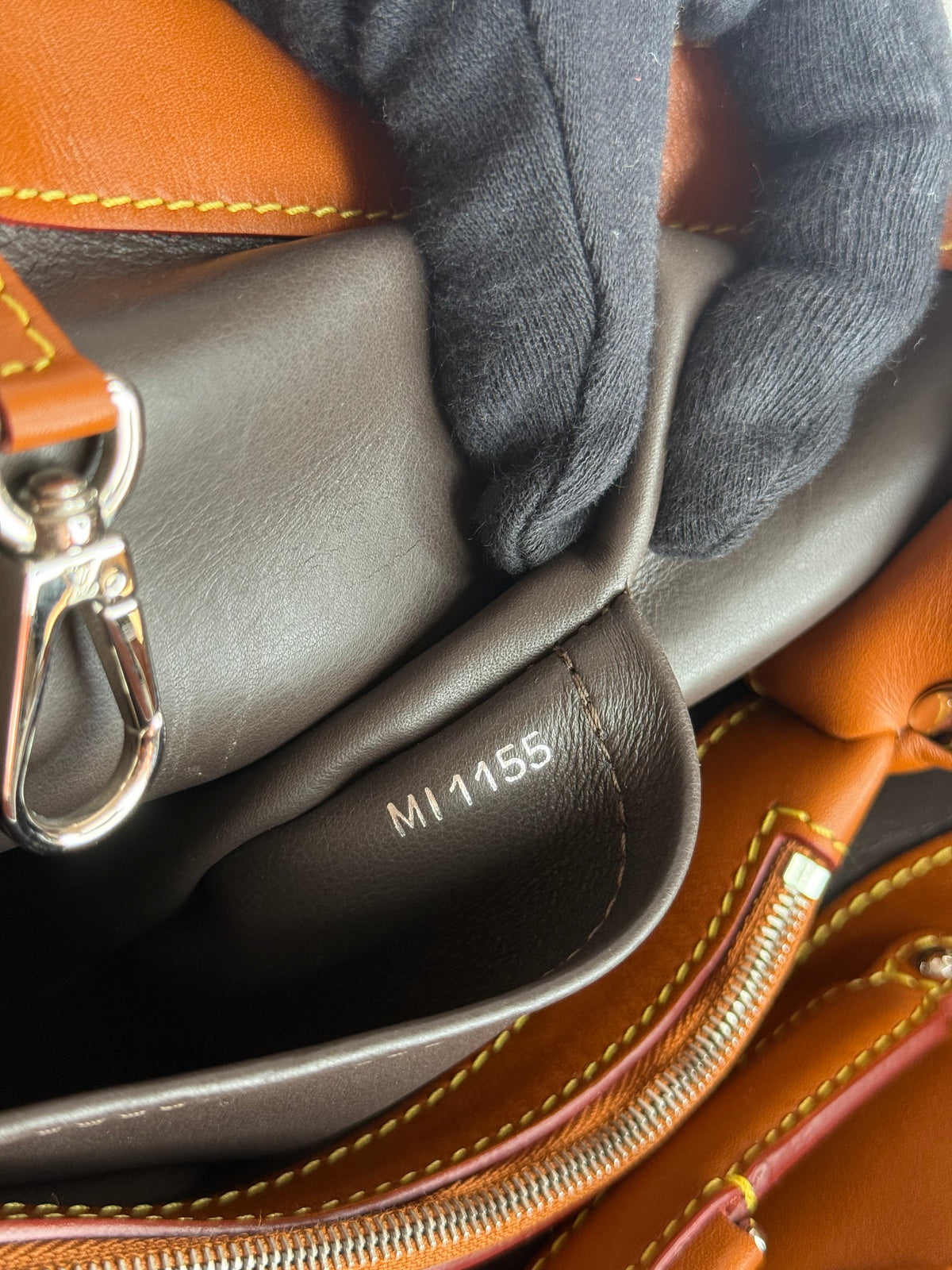 Louis Vuitton Toile and Leather Capucines Mateo MM Bag