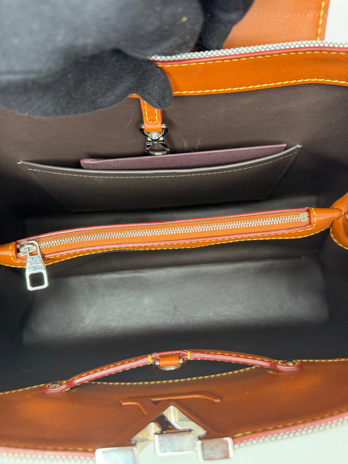 Louis Vuitton Toile and Leather Capucines Mateo MM Bag