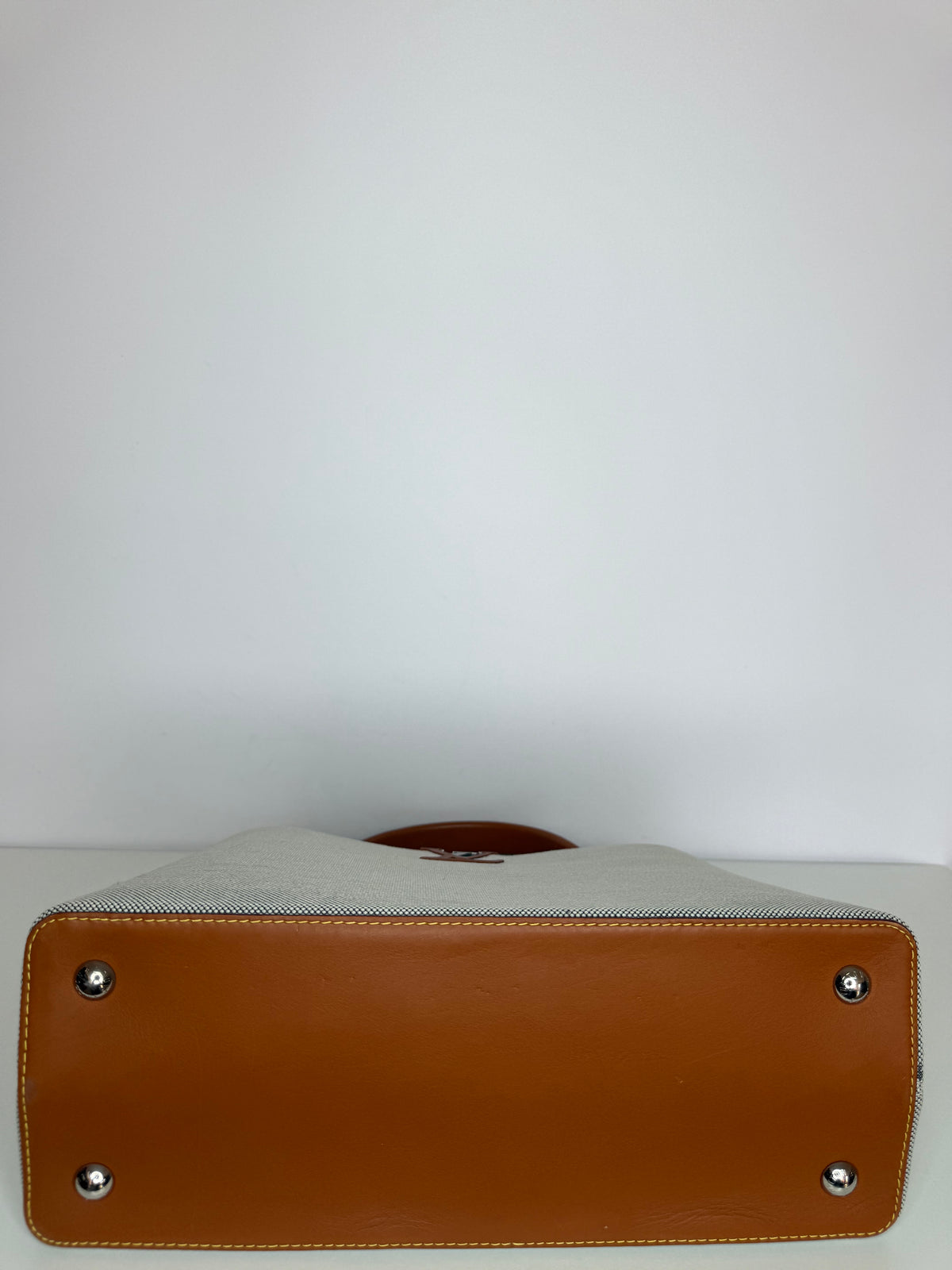 Louis Vuitton Toile and Leather Capucines Mateo MM Bag