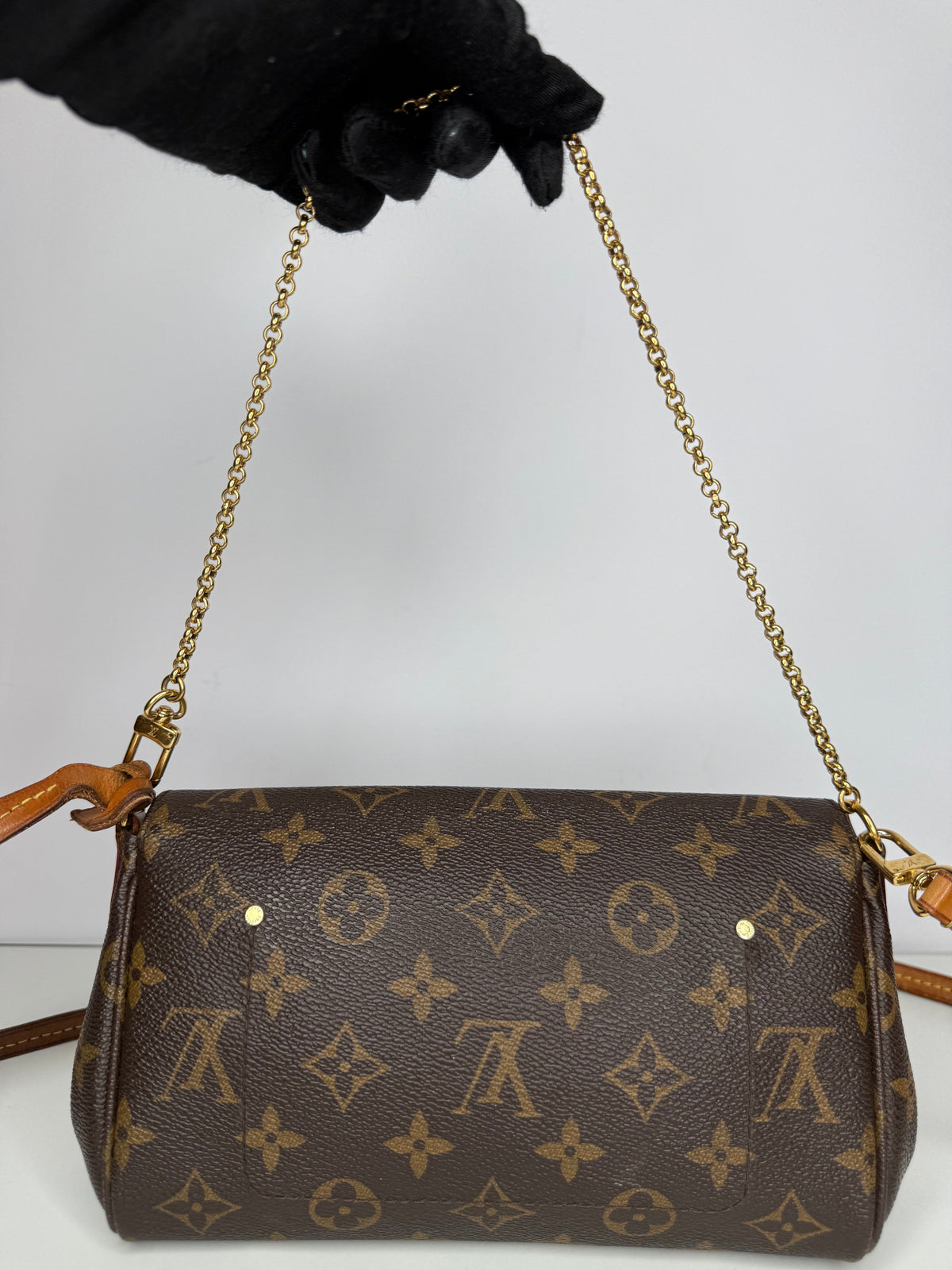 Louis Vuitton Favorite PM Monogram Canvas