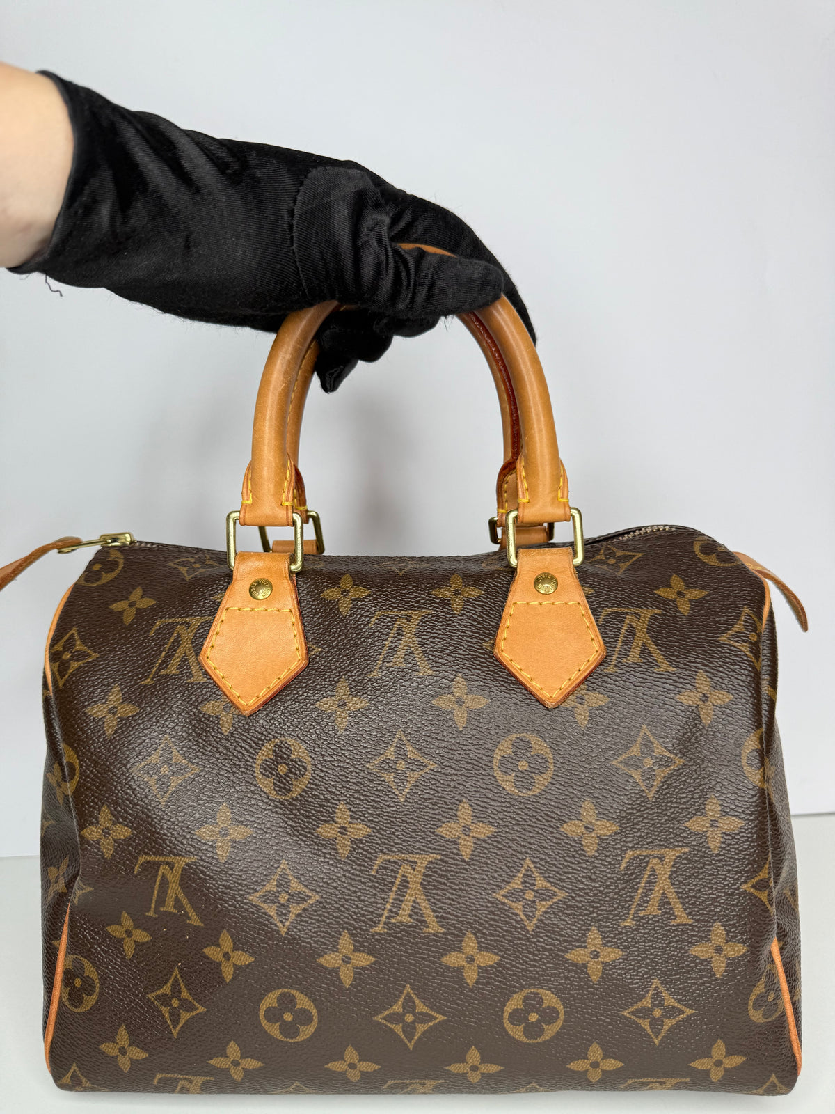 Louis Vuitton Speedy 25 Monogram Canvas