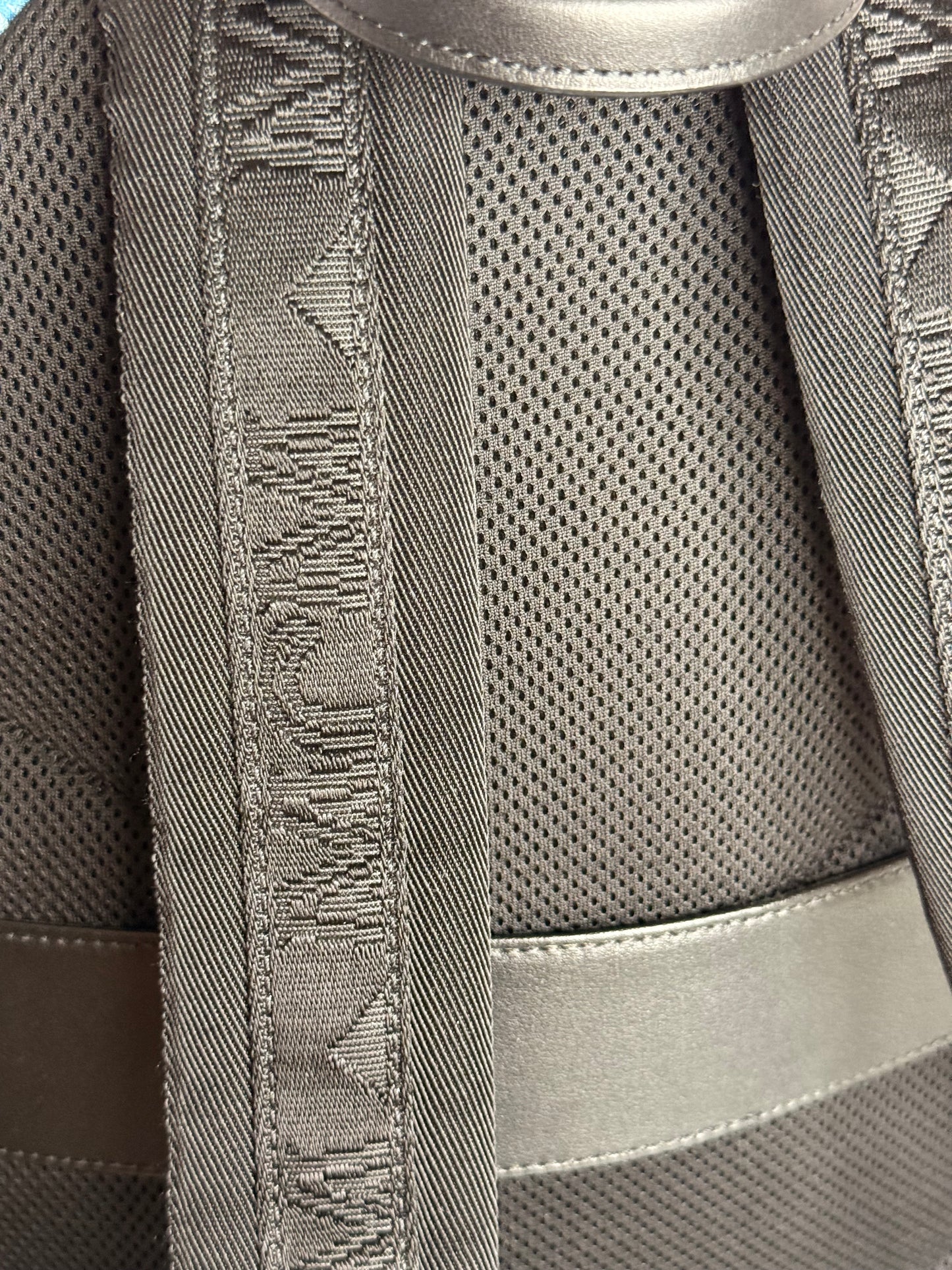 MCM Stark Backpack in Gradation Mesh and Monogram Neoprene