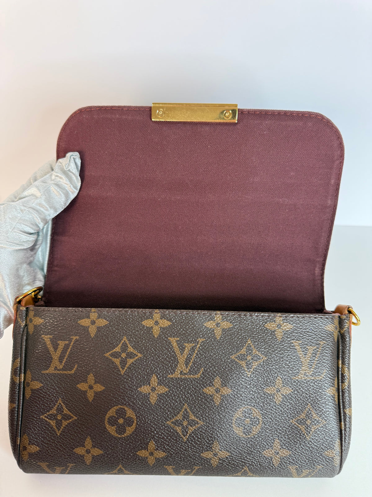 Louis Vuitton Favorite PM Monogram Canvas Pochette
