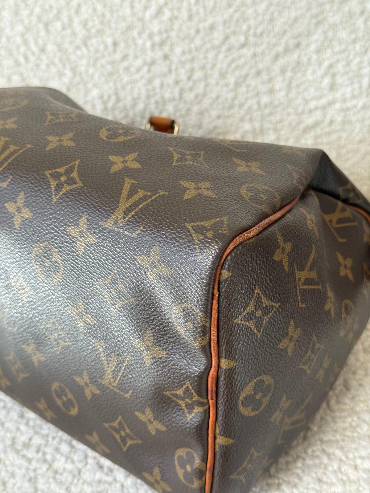 Louis Vuitton Speedy 25 Monogram Canvas