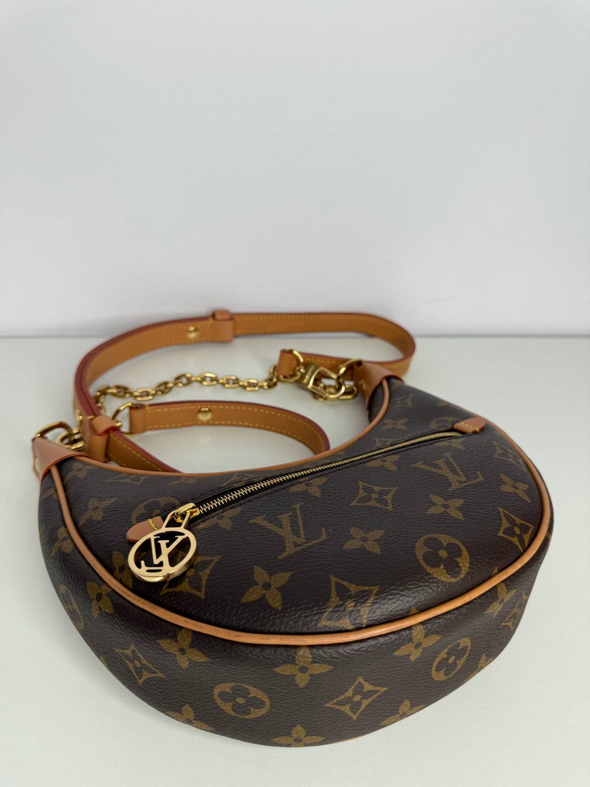 Louis Vuitton Loop Monogram Canvas Bag
