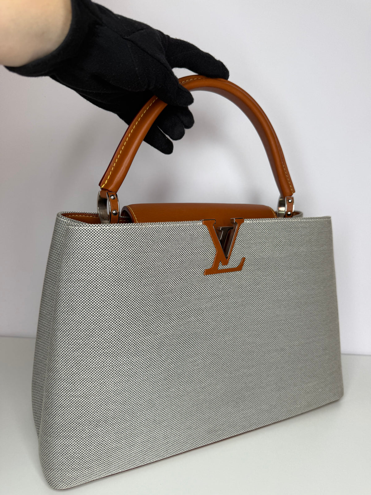 Louis Vuitton Toile and Leather Capucines Mateo MM Bag