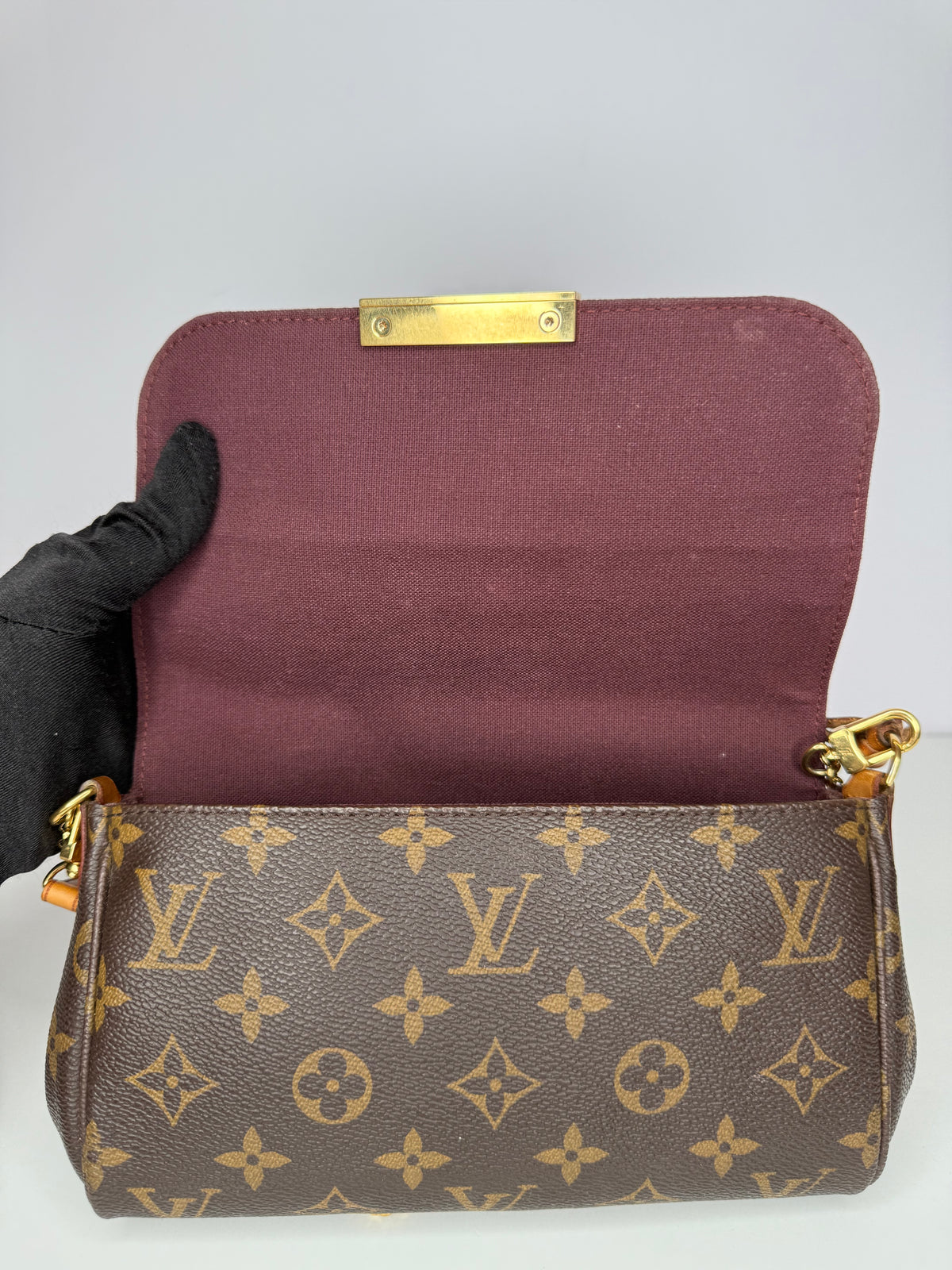 Louis Vuitton Favorite PM Monogram Canvas