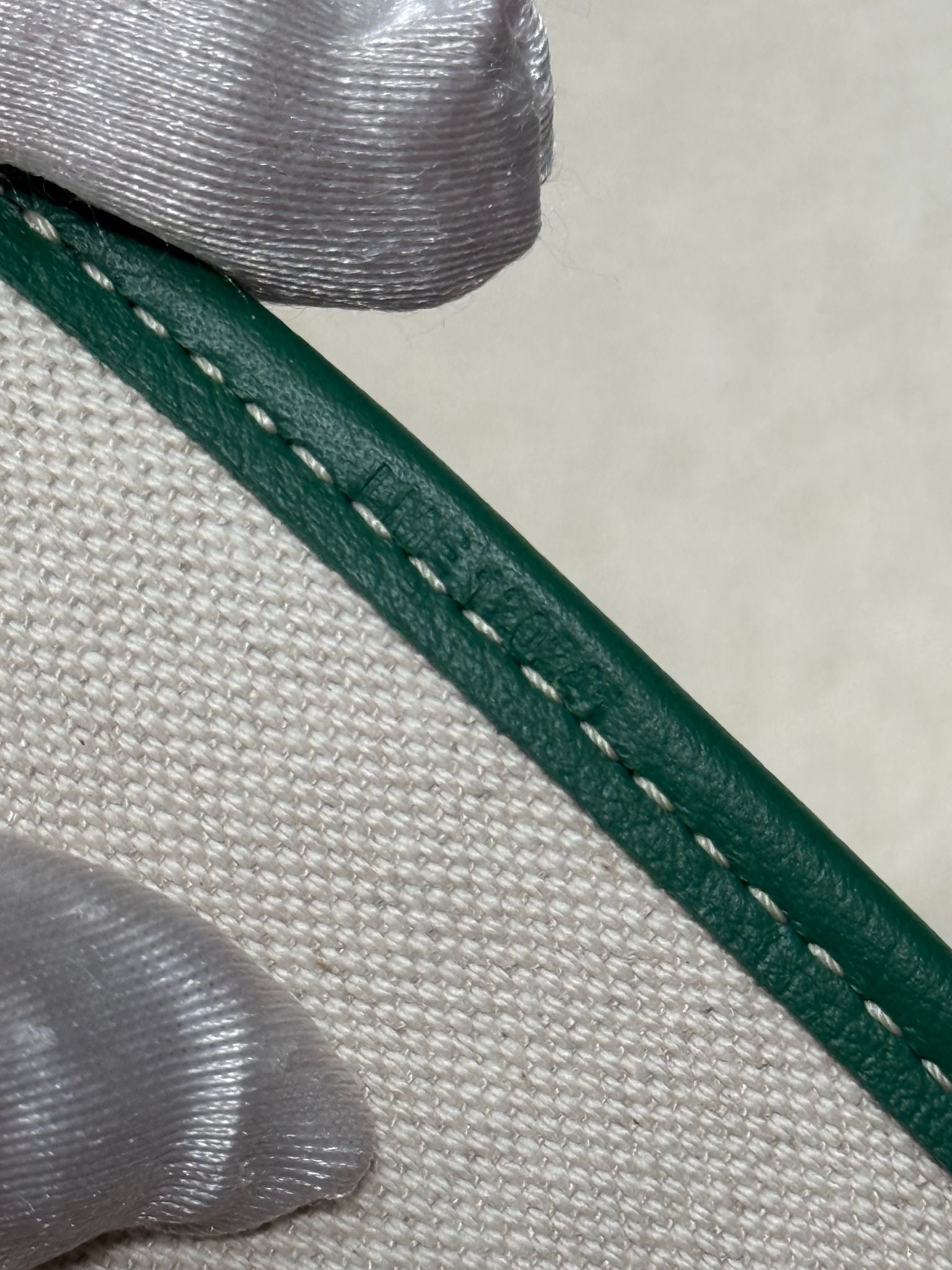 Goyard Cisalpin Green Goyardine Canvas Backpack