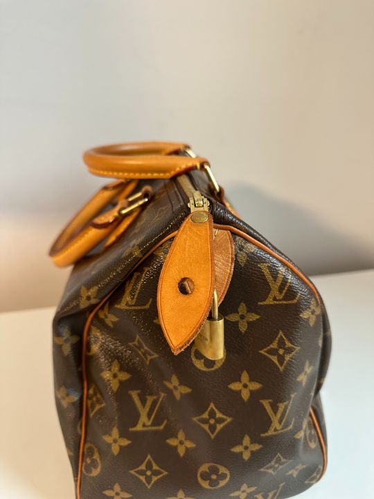 Louis Vuitton Speedy 30 Monogram Canvas