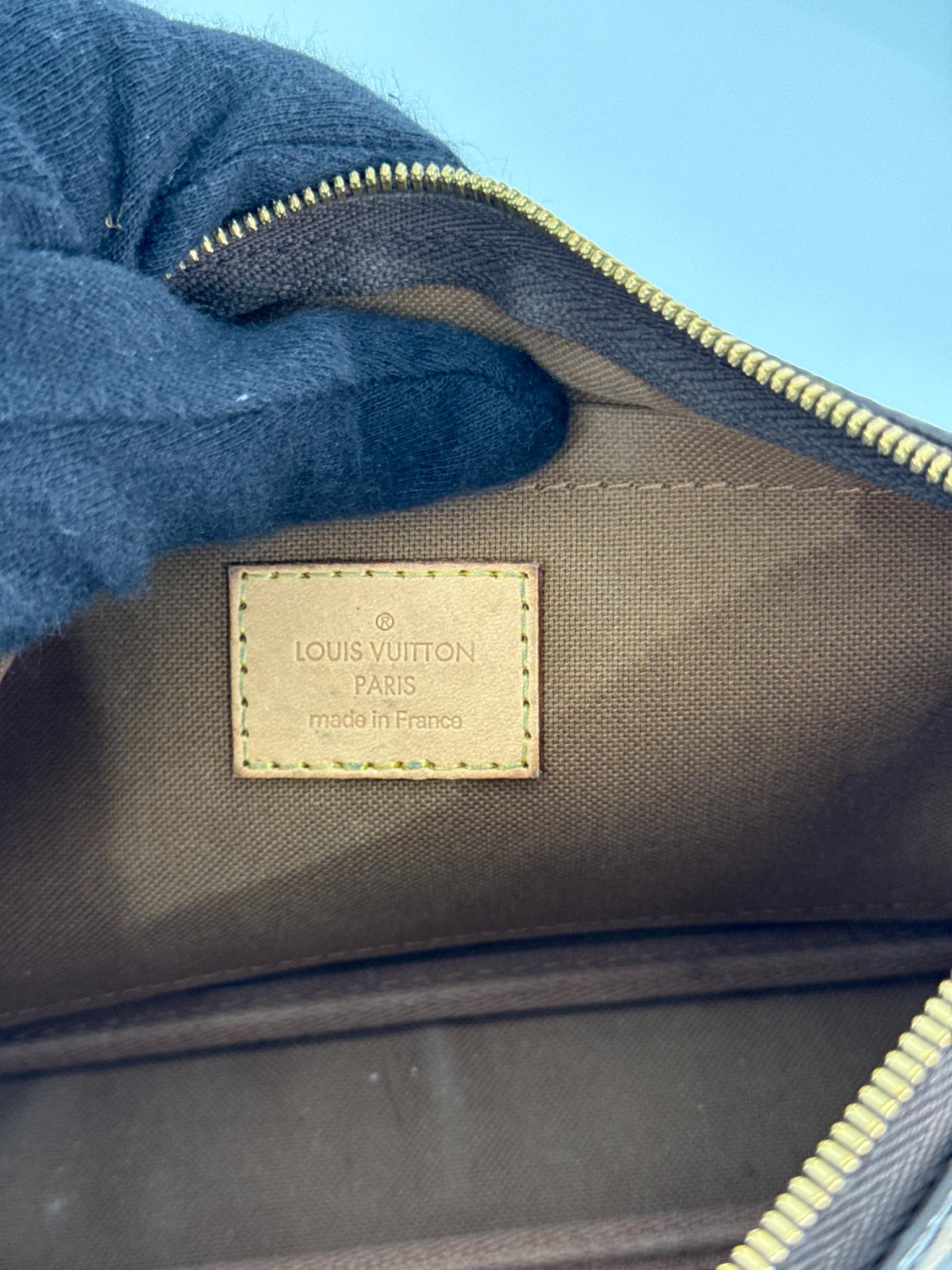 Louis Vuitton Pochette Accessories Monogram Canvas
